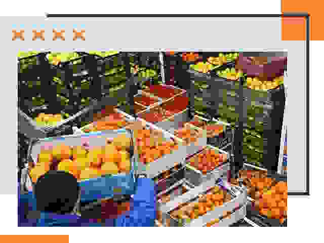 Перевозка скоропортящихся продуктов в Усть-Лабинске